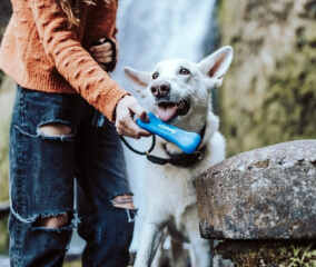 About Covid 19 Contagion Img Card 1