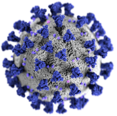 About Covid 19 Virus Illustration Small