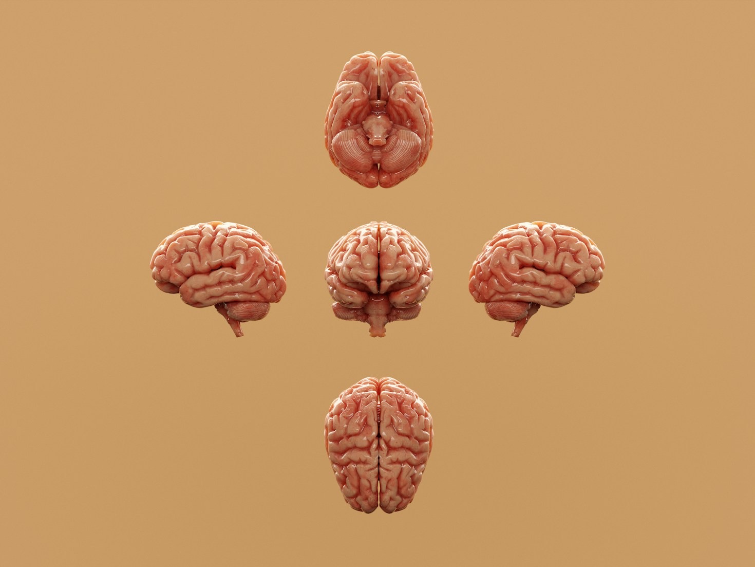 How AI is Shaping the Future of Medical Training